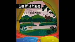 Amy Lewis &ndash; Organizing for Wilderness, the Nature Needs Half Campaign, & Defending Indigenous Rights