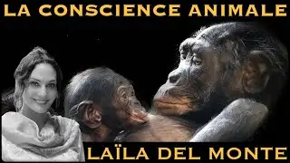 &laquo; La Conscience Animale &raquo; avec La&iuml;la Del Monte