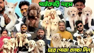 Home Breed Puppies Sale Wholesale Price. Dog Market in Kolkata Price. Kolkata Dog Market.