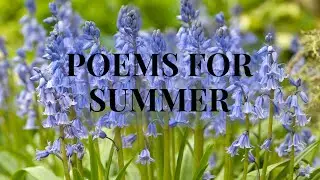 Poems For Summer by various classic poets #unintentionalasmr #sleepaidvideos