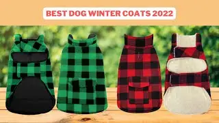 Best Dog Winter Coats | Dog Winter Coats Reviews 2022