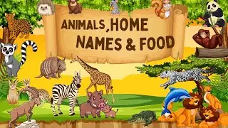Animals name / home/ food / learn different animals name/ learn English language/ sentences 