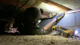 DeWalt DCN701 Cable Stapler