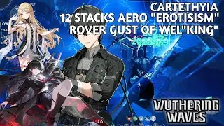 NO NEED CIA ANYMORE | 12 STACKS CARTETHYIA S3R1 | FLOOR 1-2 MID TOWER OF ADVERSITY | WUTHERING WAVES