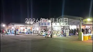 【2026年初撮影】激震‼︎未知なる魚に遭遇⁉︎【日本最強朝市】『一色さかな村』