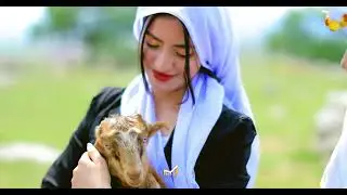 كليب جديد للفنانة ( ويهاد داود قيراني ) تصوير ماكس فيديو