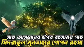 সিদরাতুল মুনতাহার সেই গোপন রহস্য! (Part 1) 😱 Unseen Truth || Sidratul Muntaha || Md Tamim