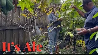 What You Can Grow In A Container Garden