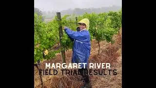 Winter session with Margaret River vineyard case studies on biologicals & fertilisers