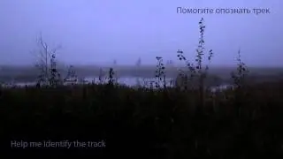 Help me identify the track