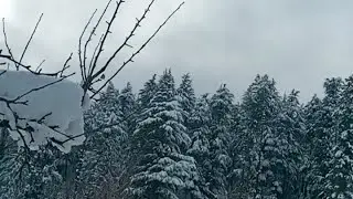 live fresh snowfall in kashmir Interesting videos