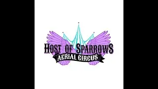 Comcast RISE Awards Host of Sparrows Aerial Circus as a 2024 Grant Package Recipient