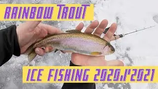 Ice Fishing for Rainbow Trout on Early Ice 2020/2021.