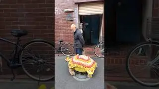 Друзья навеки: японец 16 лет выгуливает свою черепаху