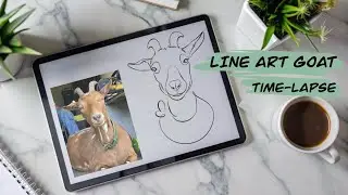 Line Art Goat Timelapse / Minimalist Animal Ilustration / Procreate