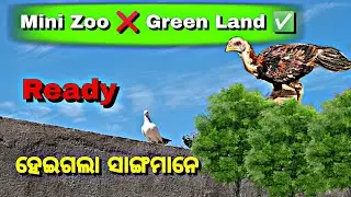 Greenland Reddy ହେଇଗଲା ସାଙ୍ଗମାନେ🌄🌄