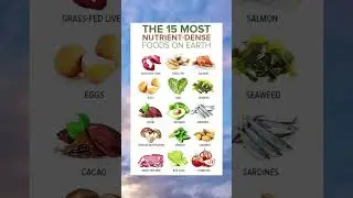 15 Most Nutrient Dense foods