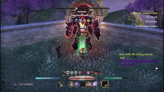 95.3K StamCro (Easy Static Rotation) Scalebreaker