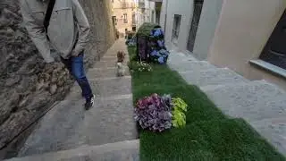 Girona #tempsdeflors