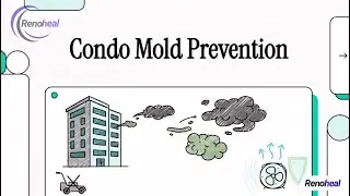How to Prevent Mold in Your Toronto Home (Expert Tips & RenoHeal Solutions)