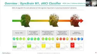 2-2 : iSyncBrain full report functions on web with iSyncBrain AI and manual denoising process