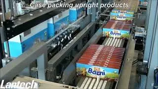 Lantech CP 1000 Case Packer High Speed Infeed