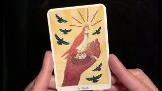 True Heart Intuitive Tarot