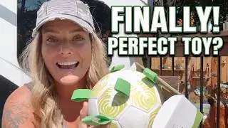Bring joy to your furry friend with the Dog Toys Soccer Ball with Straps! My dogs love this toy!