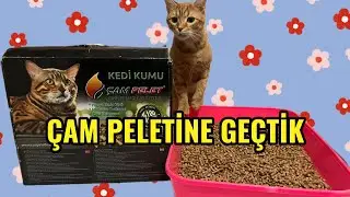KEDİLERİMİZ İÇİN ÇAM PELETİ DENİYORUZZ 💛 Detaylı inceleme ve kullanıcı yorumu (tüm gerçekliği ile)