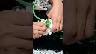 Asegura Tus Flores//Secure your flowers #diyjazimani #diy #mum #homecoming  #tutorial
