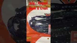 Bank & Creek July August #bass #fishing #shorts #ytshorts #nature #outdoors #fish #lurenet #short