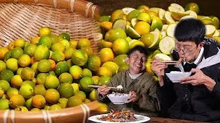 青黄的金桔挂满枝头，年味越来越浓了