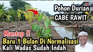 Update Kali Wadas pasca Banjir Perum Karaba Tegal luhur Warga karawang Lainn