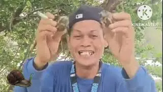 Kakaibang bunga ng kamatchile #funnyvideos #pinoyvlogs #newvlogger