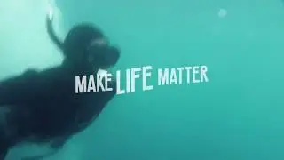 Make Life Matter - Wherever You Are in Life