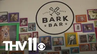 How Arkansas businesses are participating in economic ICE protest