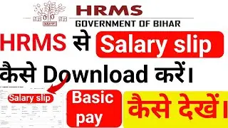 शिक्षक HRMS पर सैलरी स्लिप डाउनलोड और बेसिक पे कैसे देखें। HRMS salary slip download or basic pay 