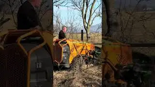 Orchard cleaning/maintenance - new technology - SoreX Destroyer robot - Romania