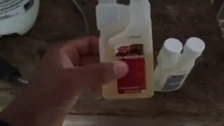 How to get Rid of Fleas in your Yard - Infestation of Fleas