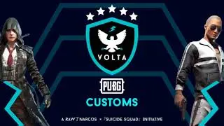 Volta T3 customs !!
