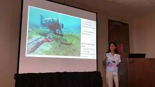 Top-down and Bottom-up control in the Galapagos Archipelago