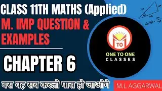 class 11 applied maths chapter 6 | ml aggarwal class 11 applied mathematics | Chapter 6