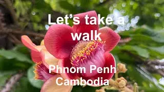 Let’s take a walk Phnom Penh