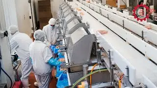 How Automation is Changing the Food Processing Industry