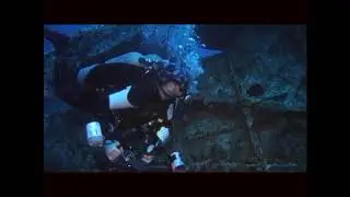 DIVEZONE. Бразерсы