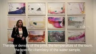 Light & Matter: The Art of Matthew Brandt,  