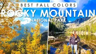 FALL COLORS in ROCKY MOUNTAIN National Park | Best Place to See Fall Colors in Colorado