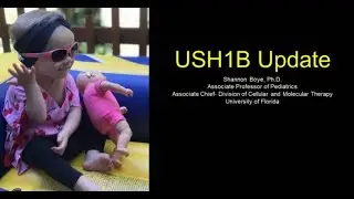 USH1B Update, Shannon Boye, PhD (with ASL)