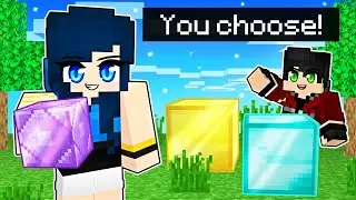 You DECIDE what we build in Minecraft!