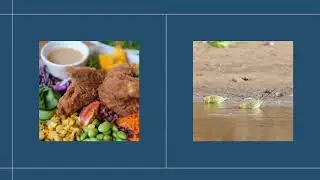 Common Signs Your Bird Might Be Sick
